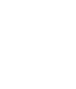No Animal Testing