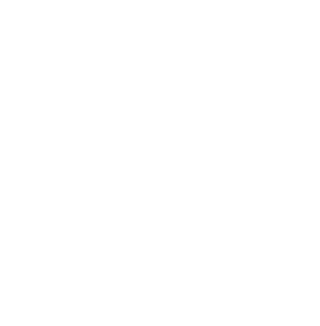 Vegan